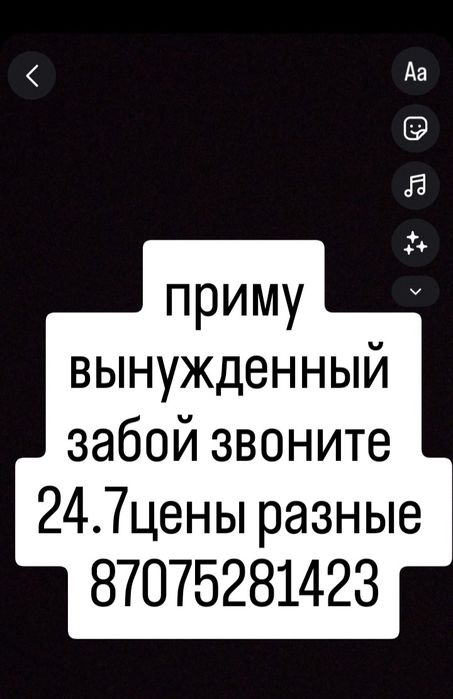 Телята телята телята