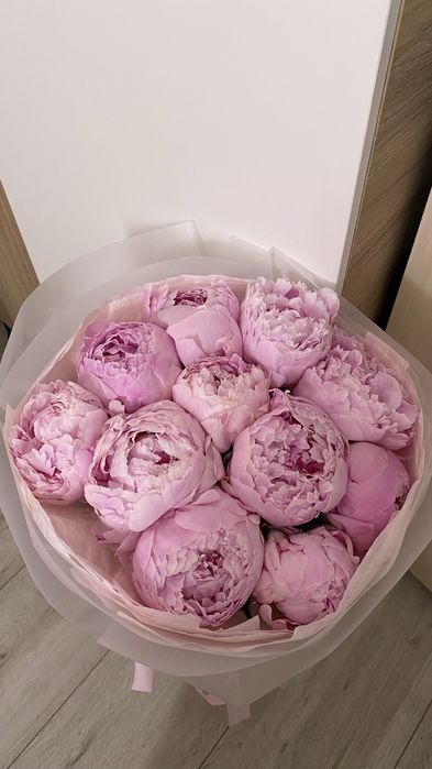 Цветы пионы розовые