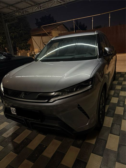 BYD yuan up 2024