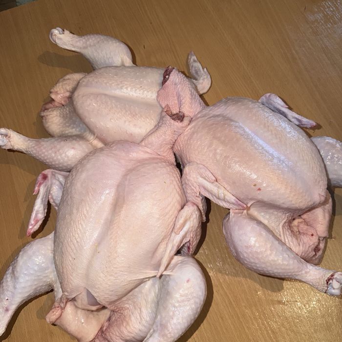 Продаю домашних бройлеров