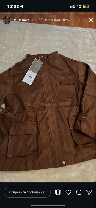 Курки осень-весна