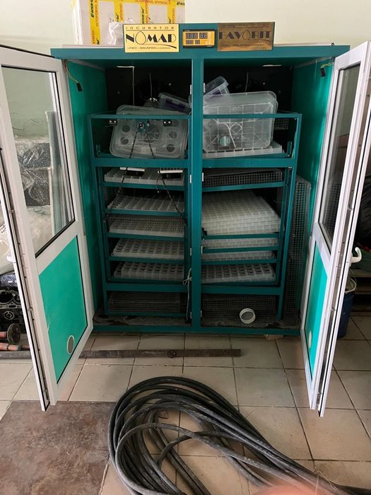 Инкубатор для яиц