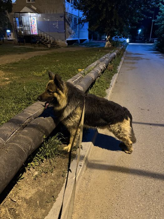 Кабель ВЕО на вязку