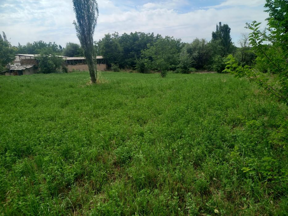 Пустои участка сотилади срочна