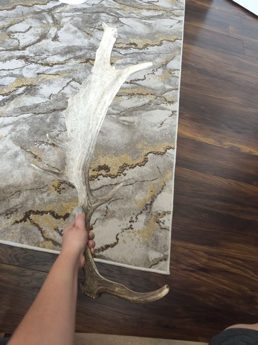 Рог от Елен Лопатар