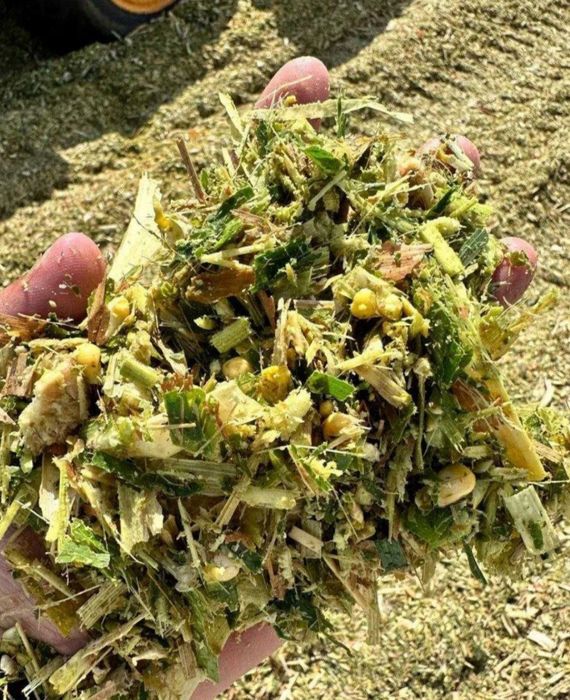 Silos sotiladi,donli cheklanmagan miqdorda