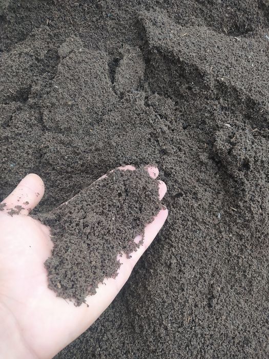 Сфатли биягомус сотлади