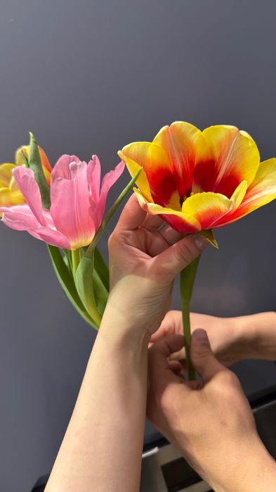 Цветы тюльпаны Букеты