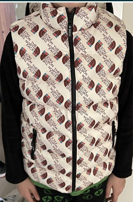 Vesta the north face copii