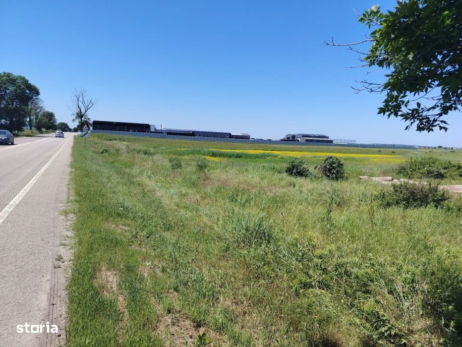 Teren intravilan de vanzare – 3.600 mp, Bals / Bobicesti