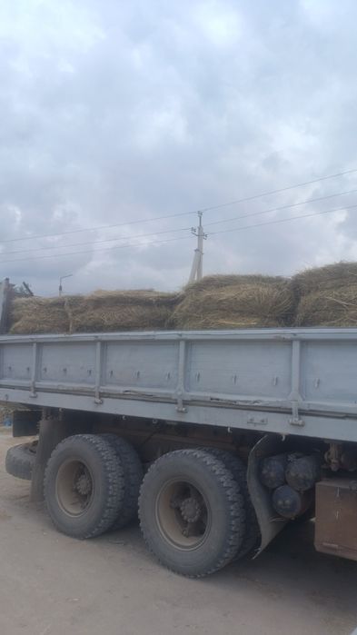 Продам сено в рулонах