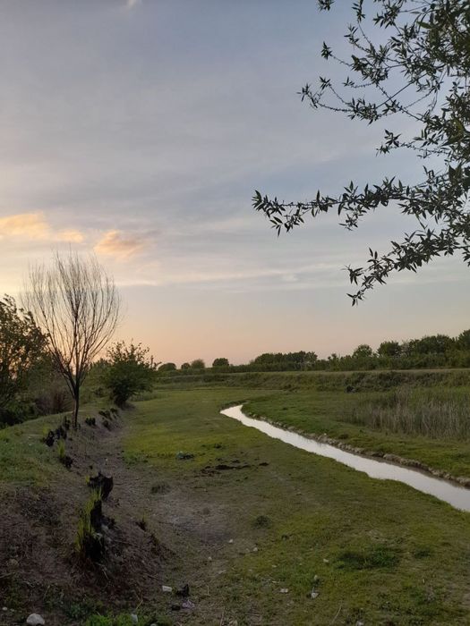 «Учаска сотилади.баликчилик хам килишга жой бор»…………………….