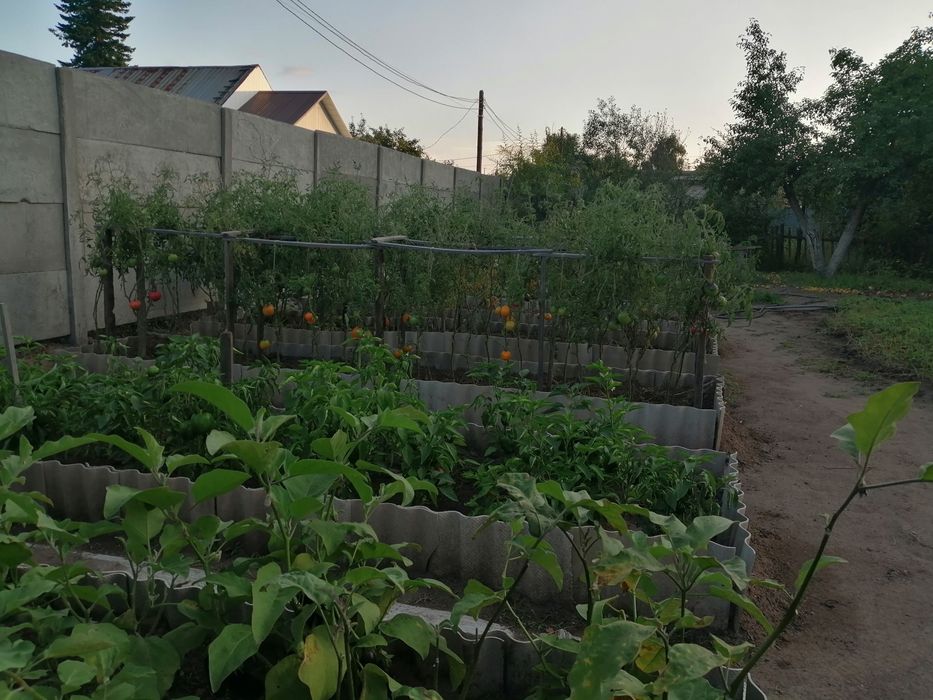 Участок. Около дома малютки