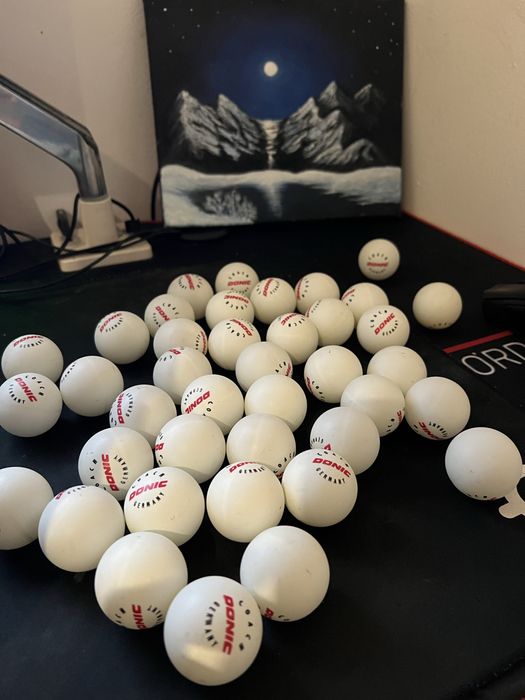 Donic mingii de antrenament