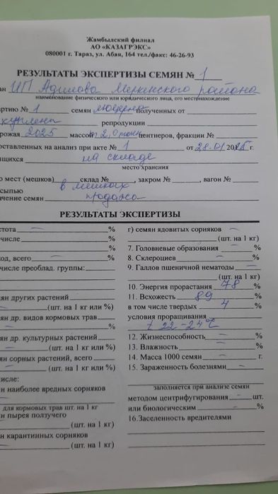 Семена люцерны сорт Семиречье,Джеа(Кара Балта) Джеа оригинал