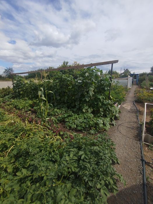 Продам дачу Уралочка