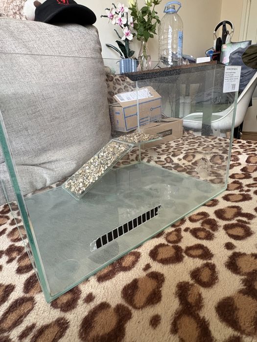 Acvariu broaste testoase