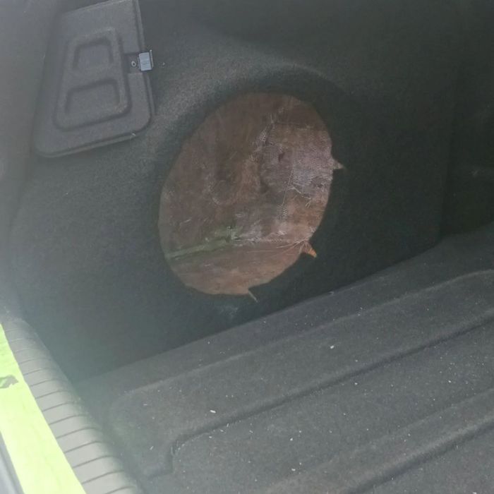 Sabufer yashik Stls gazli gazsiz moshinalaga .