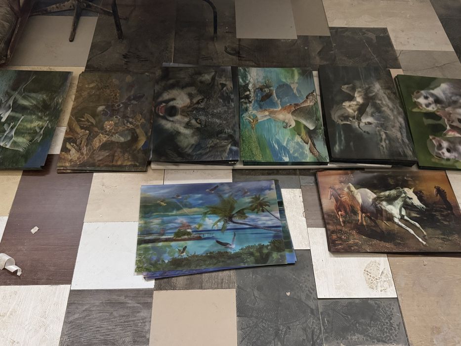 3D  Картинки с разными животнами