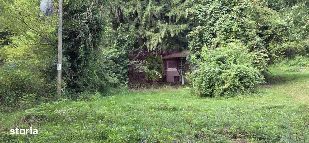 Teren de vanzare 15.000 mp in Telega