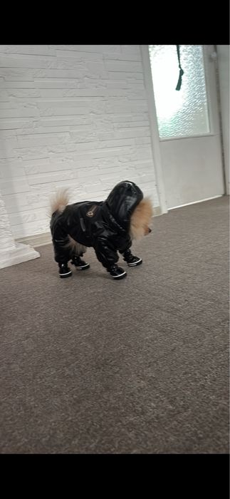 Зимняя куртка для собаки