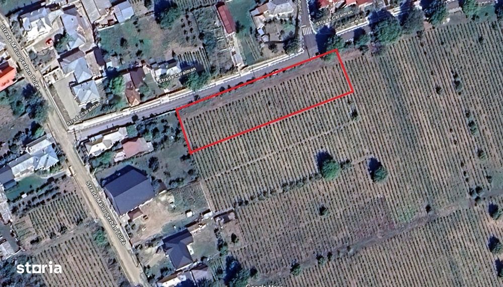 Vând / Parcelabil: Teren intravilan 2.500 mp – deschidere 100m
