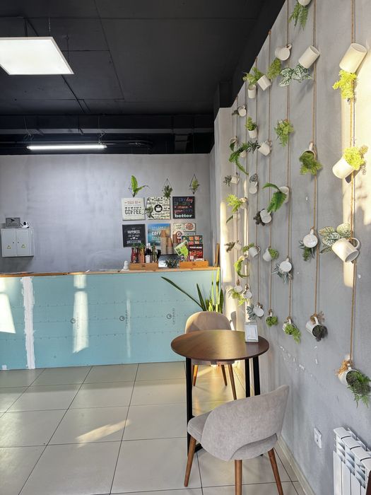 Продам действующий бизнес