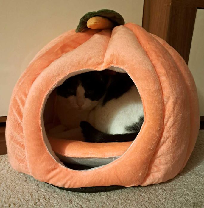 Нова Котешка Кучешка Къща * Къщичка * Легло за котка или куче *Размери