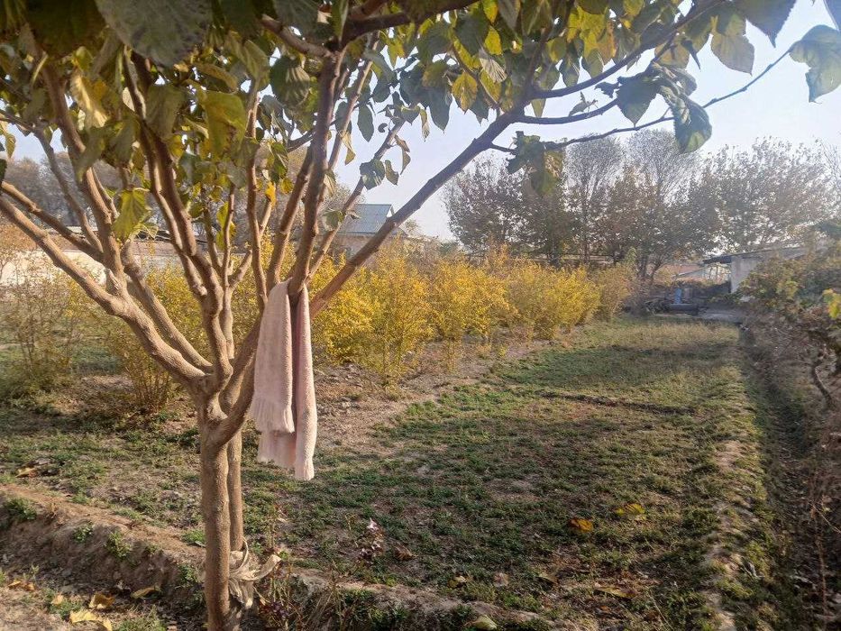 Ҳовли уй ва ер сотилади