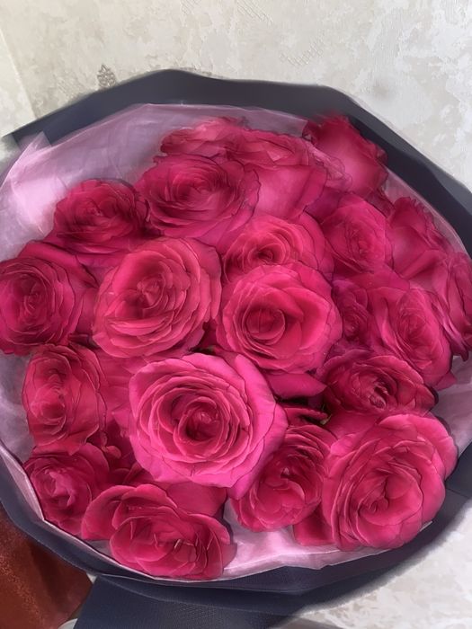 25шт голландские розы