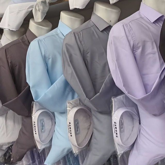 Ramons silim fit regularly kilassika