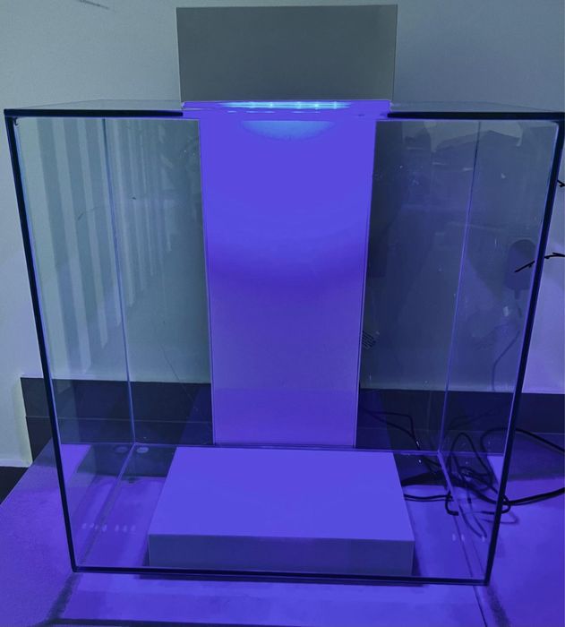 Acvariu pentru pesti