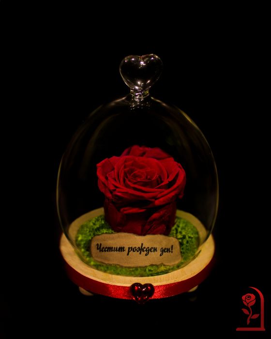 ЕСТЕСТВЕНА Вечна Роза в Стъкленица / Подарък за Коледа за Жена