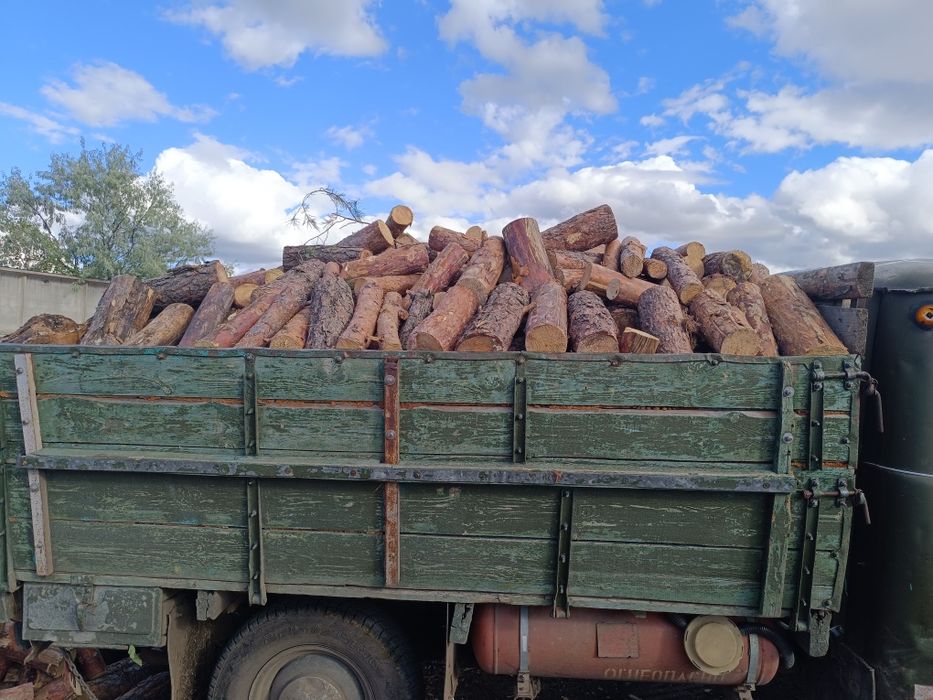 Дрова сухая сосна