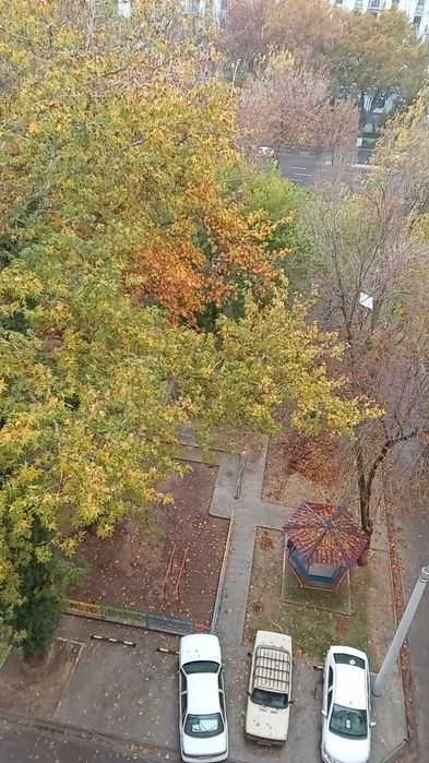 Сдам комнату в центре,недорого