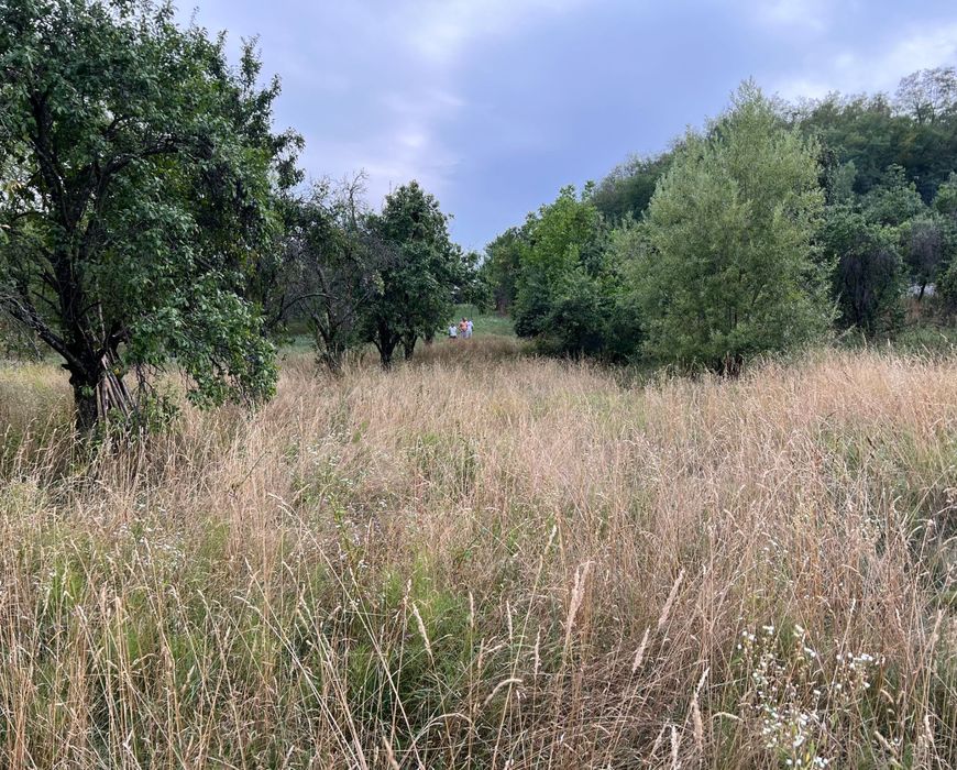 Teren Cerbureni Arges