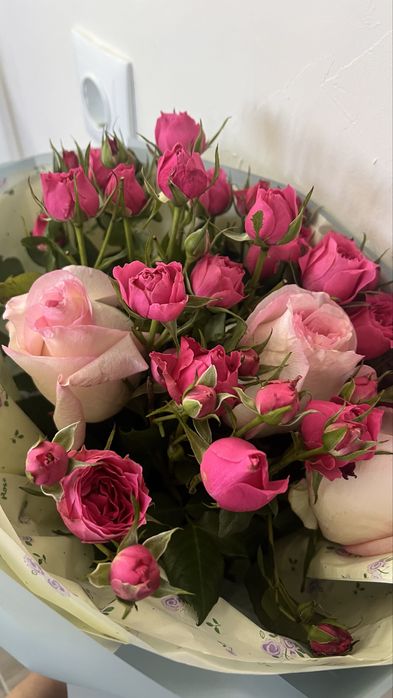 Продам цветы свежие