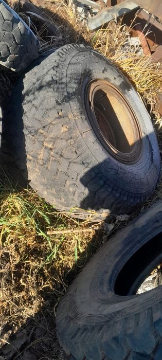 Птс 6 болоны продам