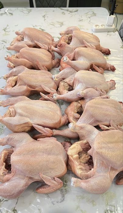 ОПТОМ мясо курицы бройлера