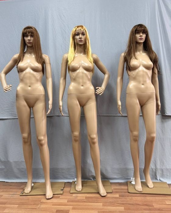 Maniken optom va donaga