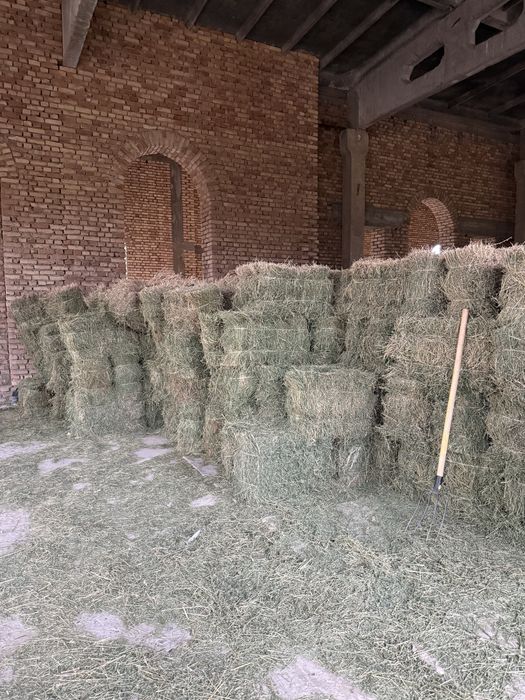 Беда прес холати зур гарнтия