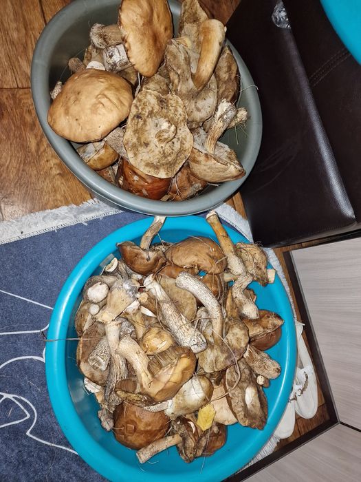 Грибы помытые, нарезанные