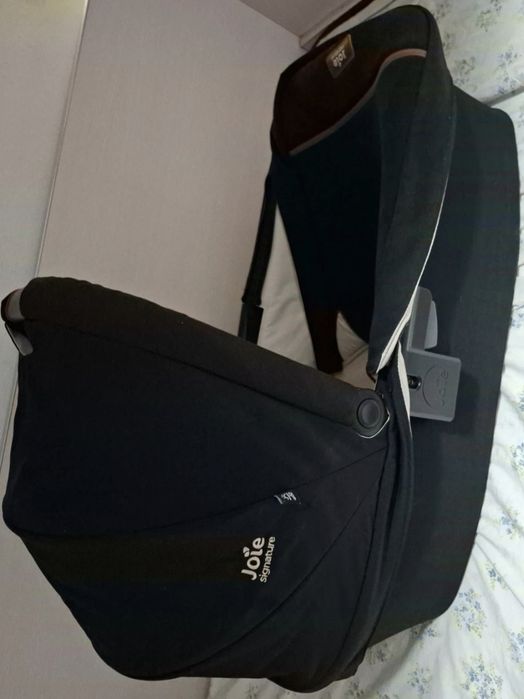 Carut,landou si scoica