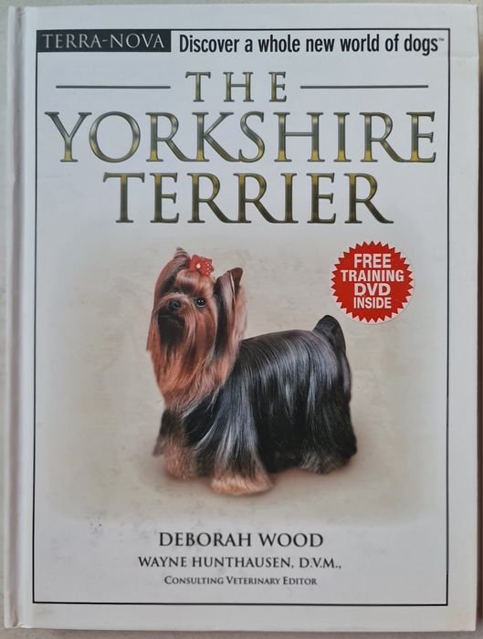 Carti training Yorkshire Terrier