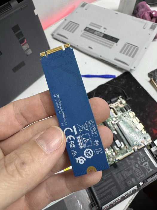 SSD 256GB Western Digital/2020