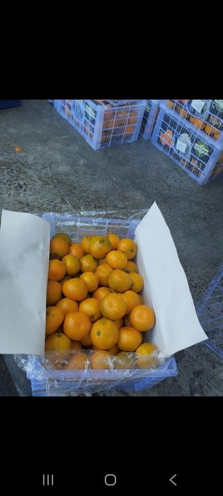 Продам дёшево мандарины сладкие без косточек