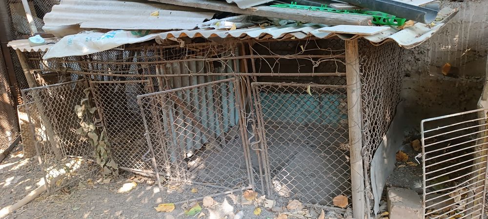 Продам клетки для цыплят