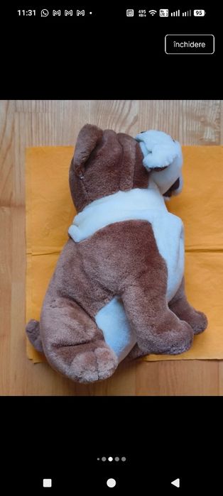 Caine din plus( buldog)