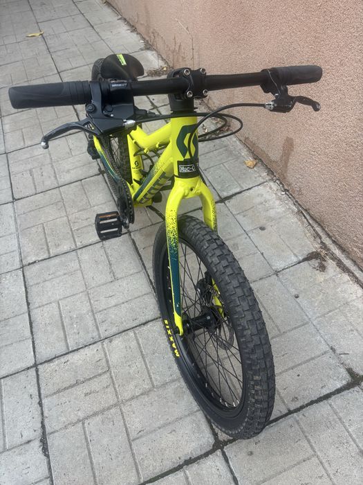Scott Roxter 20”