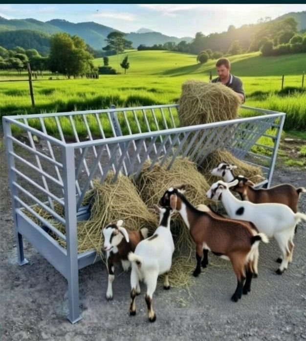 Iesle solida pentru animale